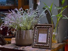 -NLFS1983咖啡花园餐厅(锦桂店)