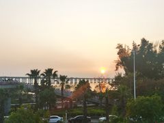 -宝安西湾红树林湿地公园