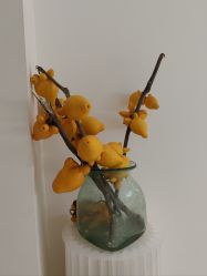 -安那般那皮肤年轻化ANAPANA