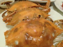 -长沙三景韦尔斯利酒店·Oval全日制餐厅自助餐
