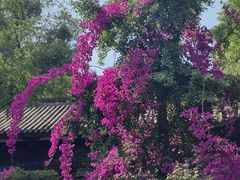 -大妙火锅·非物质文化遗产(东湖公园店)