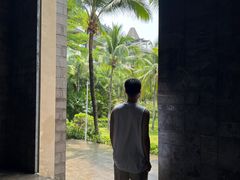 -海南清水湾莱佛士酒店