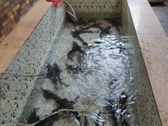 -荣德灶台鱼(圣泉寺店)