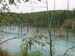 -青池