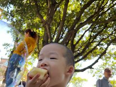 -铁山坪森林公园