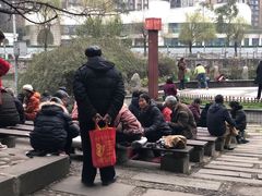 -成都市活水公园