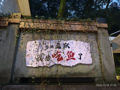 -龙井壹号·茶缘山景宴(龙井村店)