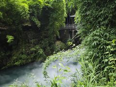 -三峡人家风景区