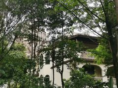 -重庆彩云湖湿地公园