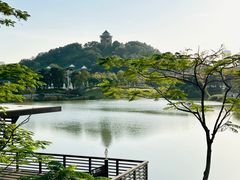 -王借岗森林公园