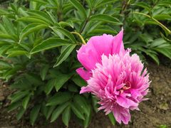 -合肥三国新城遗址公园