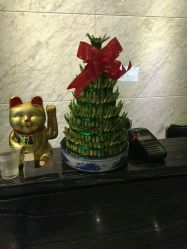 点击看大图 android_upload_pic-唯伊美塑身美养连锁