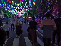 -八大山人梅湖景区