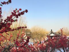 -威海华夏城景区