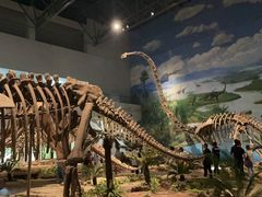 -自贡恐龙博物馆