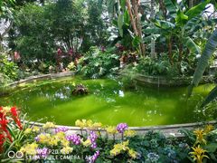-国家植物园