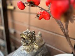 -龙源茶坊(白银路店)