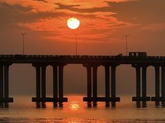 -宝安西湾红树林湿地公园