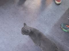 -203密室体验馆·逃脱·聚会·亲子(工体店)