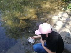 -云岗森林公园