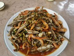 -遇龙河大樟树农家乐