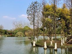 -海珠湖公园