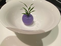 -金鸭季·臻品餐厅(欢乐海岸购物中心店)