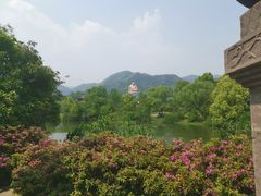 -溪口-滕头旅游景区