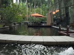 -Waterfall瀑布湾优健源(华侨城店)