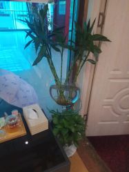 -芳朵美容养生SPA