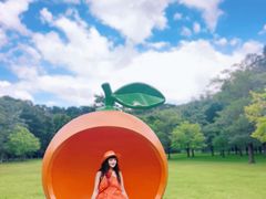 -云溪植物园