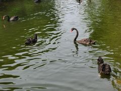 -长白岛森林公园