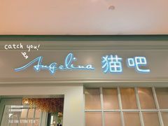-安格丽娜·狗咖·猫咖羊驼咖(春熙路百盛商场店)
