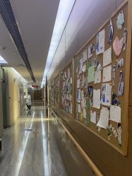 -上海首尔丽格医疗美容医院