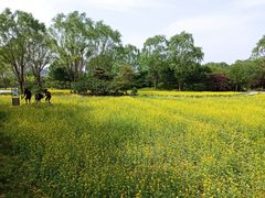 -北坞公园