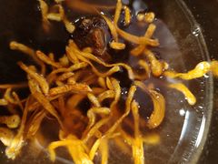 -龙福成肥牛火锅(文昌店)