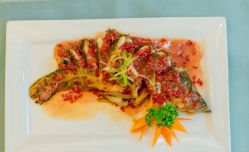 -弗蕾亚·和月月子调理院(东湖店)