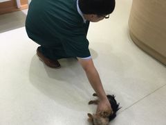 -瑞鹏宠物医院·宠保定点·心脏科·内科(御桥分院)