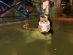-崇阳三特浪口温泉
