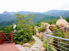 -紫云台香草园