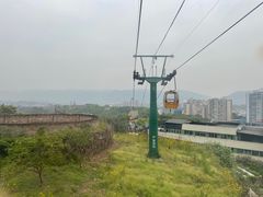 -缙云山景区