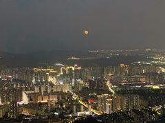 -长虫山生态公园风景林