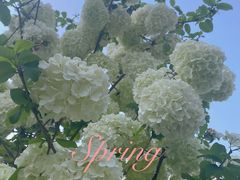 -大龙山(地铁站)