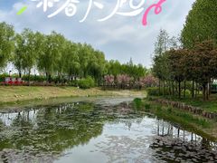 -北龙湖湿地公园
