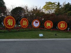 -青枫公园
