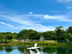 -济州森林小火车生态公园