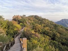 -大岭沟猕猴桃谷风景区