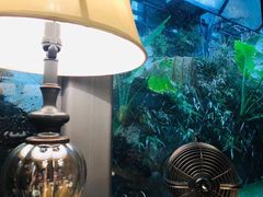 -肴约·花园式餐厅(湖里店)