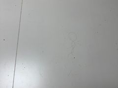 -宋都禾源·灌汤包子(汉兴路直营店)