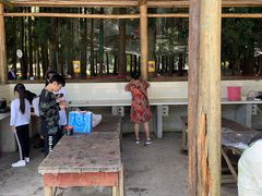 -武陵山森林公园
